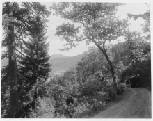 probably crater lake highway